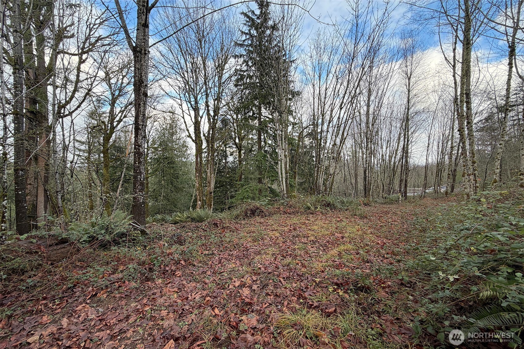 27005 262nd Avenue SE Ravensdale WA 98051