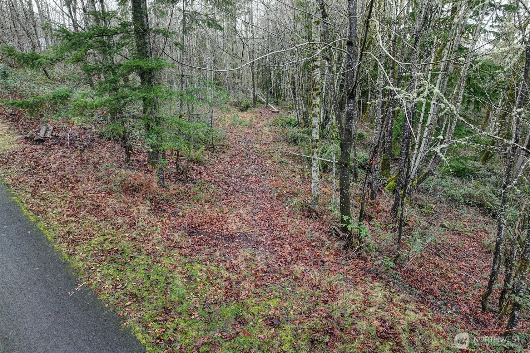 27005 262nd Avenue SE Ravensdale WA 98051