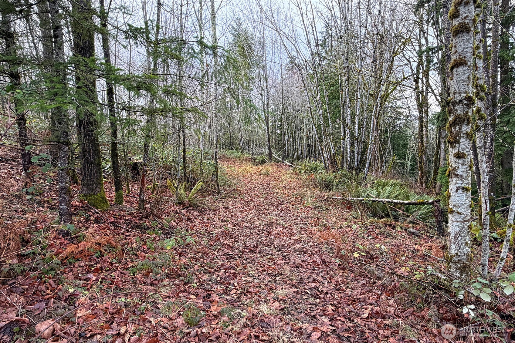 27005 262nd Avenue SE Ravensdale WA 98051