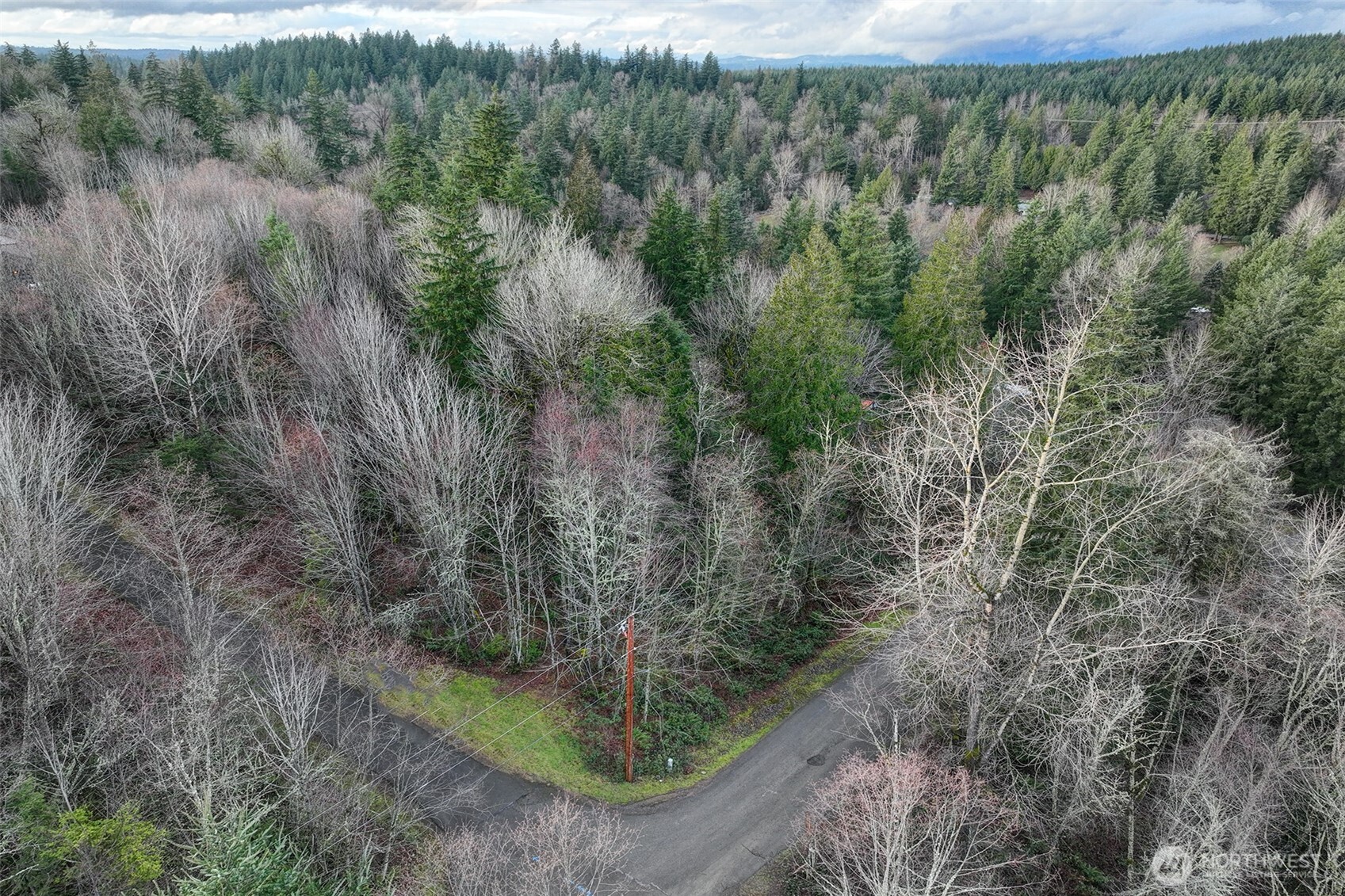 27005 262nd Avenue SE Ravensdale WA 98051