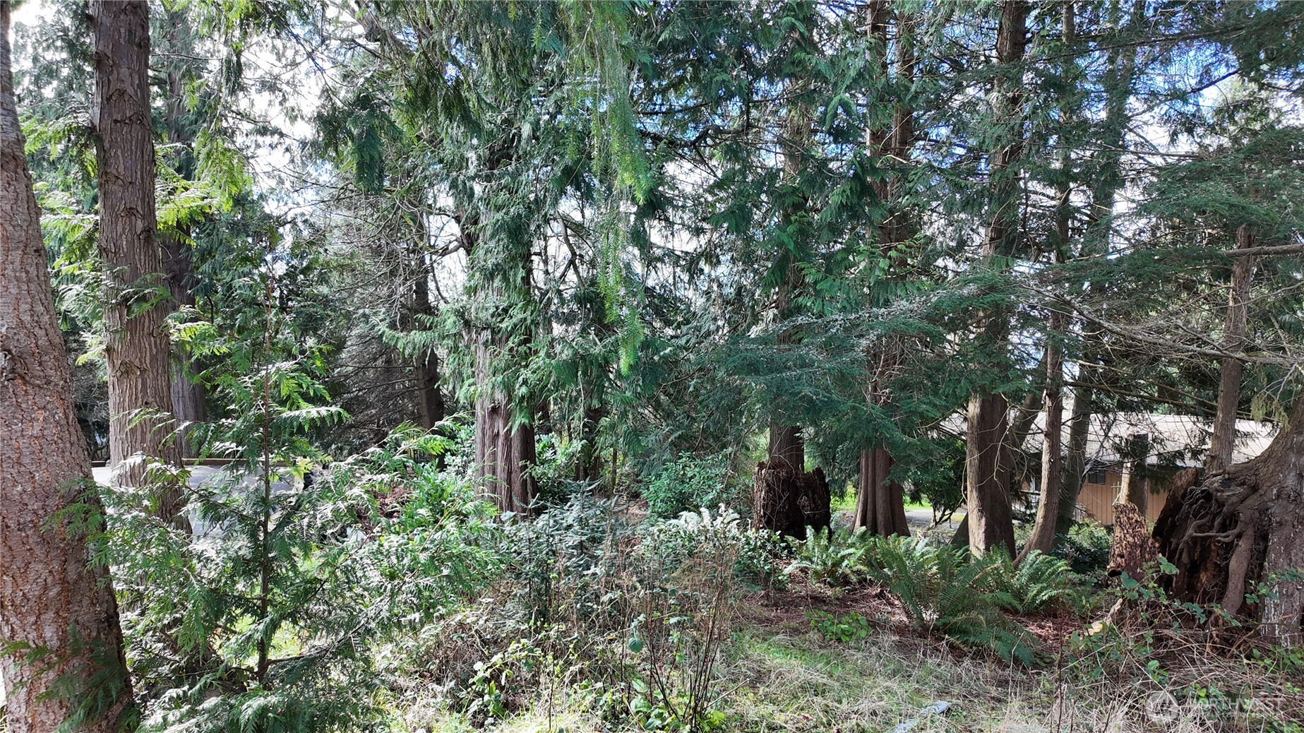 792 Shelter Bay Drive La Conner WA 98257