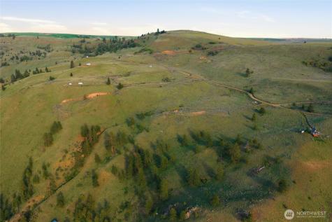 10 Mountain Springs Road Orondo WA 98843