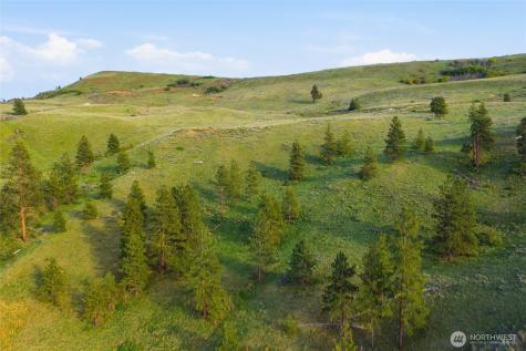10 Mountain Springs Road Orondo WA 98843
