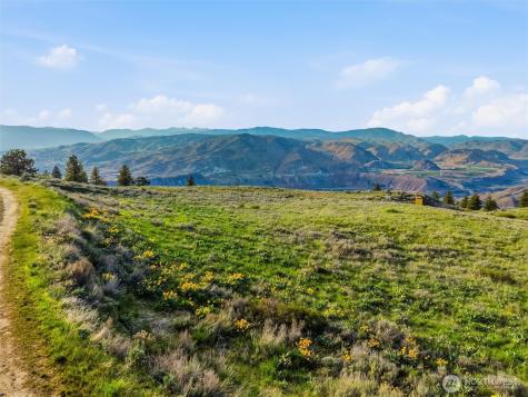10 Mountain Springs Road Orondo WA 98843