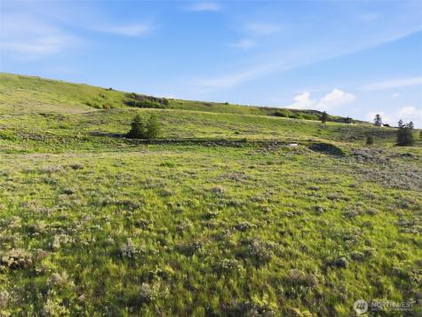 10 Mountain Springs Road Orondo WA 98843