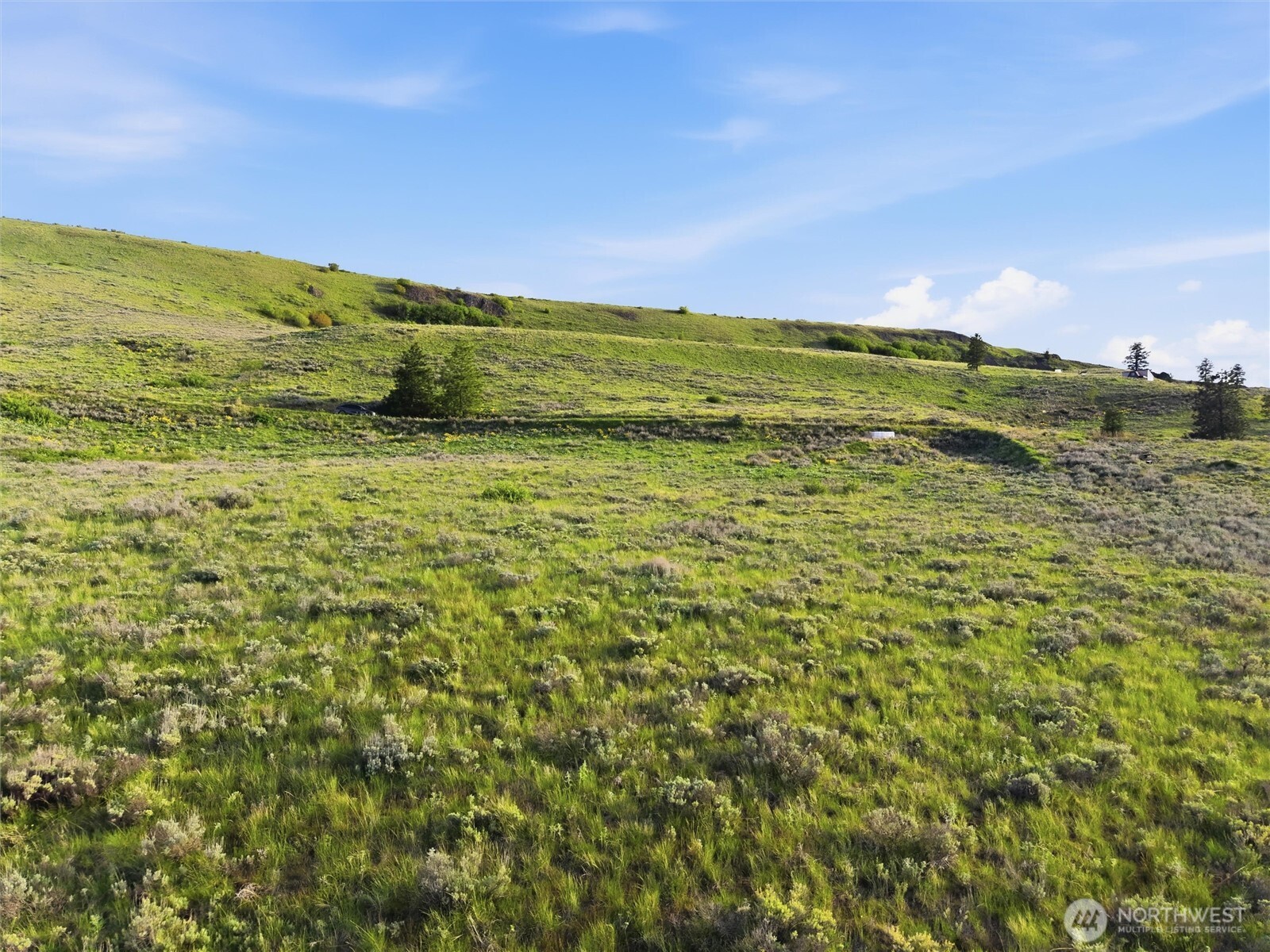 10 Mountain Springs Road Orondo WA 98843