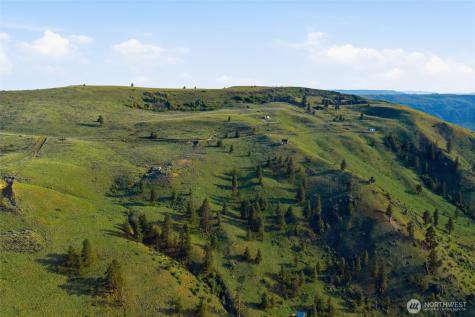 10 Mountain Springs Road Orondo WA 98843