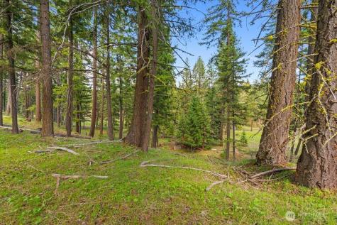 14 Rainbow Court Cle Elum WA 98922