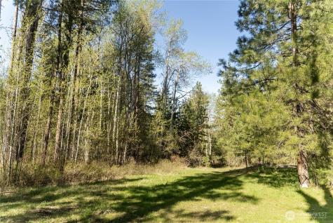 19 Stagecoach Road Carlton WA 98814