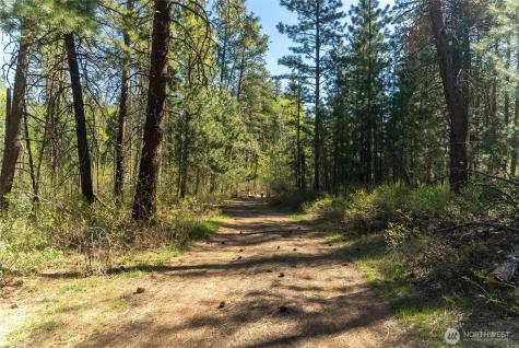 19 Stagecoach Road Carlton WA 98814
