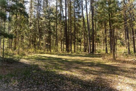 19 Stagecoach Road Carlton WA 98814