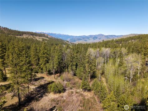 19 Stagecoach Road Carlton WA 98814