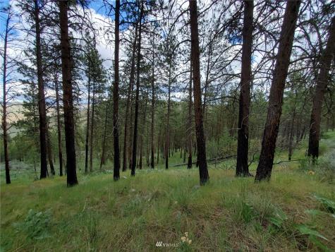 0 Tunk Creek Road Riverside WA 98849