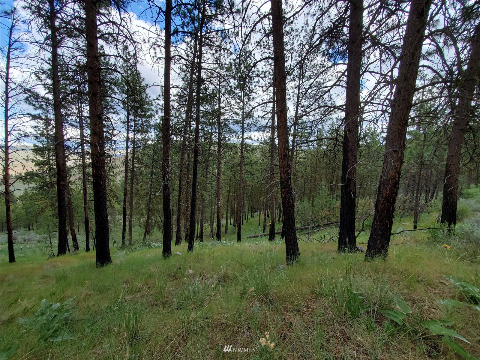 0 Tunk Creek Road Riverside WA 98849