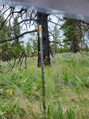 0 Tunk Creek Road Riverside WA 98849