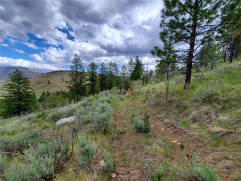 0 Tunk Creek Road Riverside WA 98849