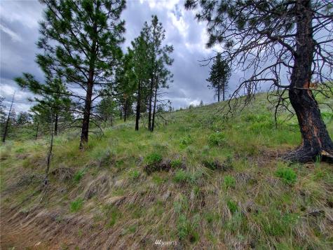 0 Tunk Creek Road Riverside WA 98849