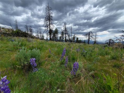 0 Tunk Creek Road Riverside WA 98849