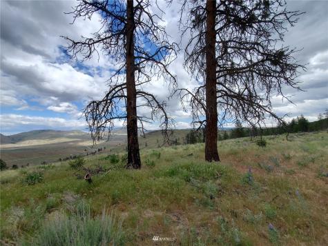 0 Tunk Creek Road Riverside WA 98849