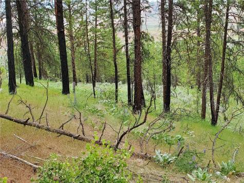0 Tunk Creek Road Riverside WA 98849