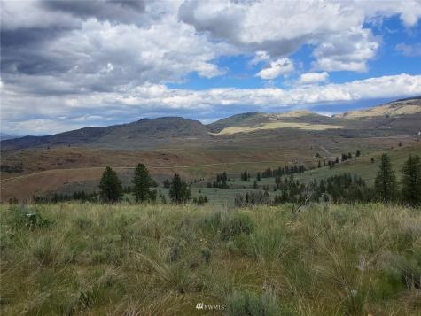 0 Tunk Creek Road Riverside WA 98849
