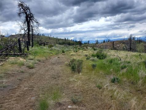 0 Tunk Creek Road Riverside WA 98849