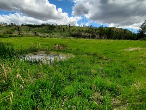 0 Tunk Creek Road Riverside WA 98849