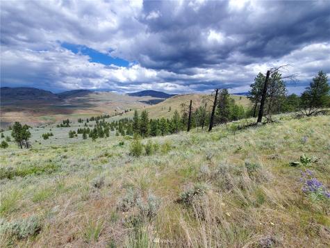 0 Tunk Creek Road Riverside WA 98849