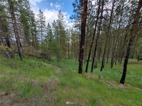 0 Tunk Creek Road Riverside WA 98849