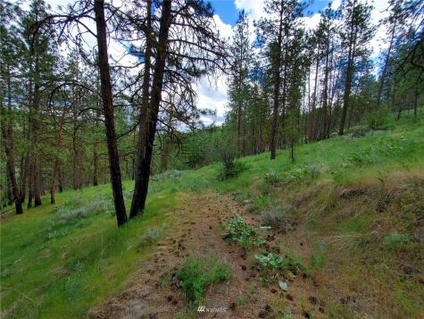 0 Tunk Creek Road Riverside WA 98849