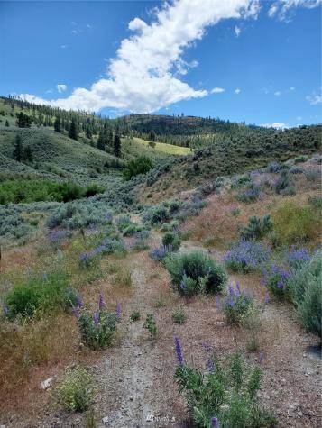 0 Tunk Creek Road Riverside WA 98849