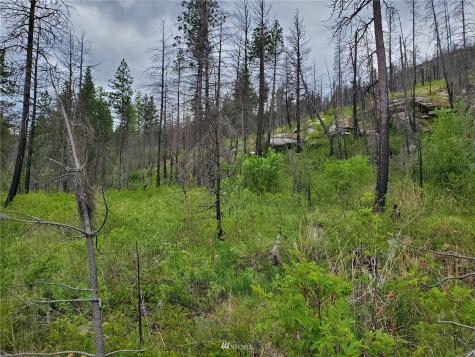 0 Tunk Creek Road Riverside WA 98849