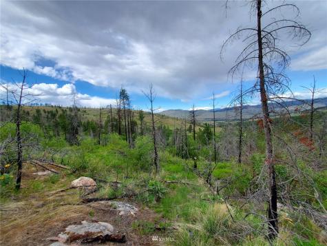 0 Tunk Creek Road Riverside WA 98849