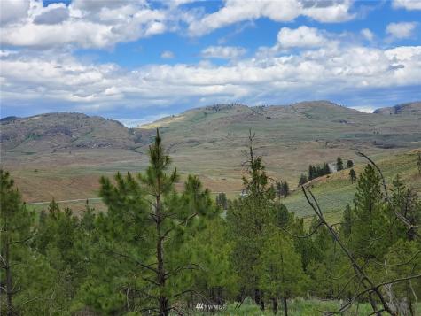 0 Tunk Creek Road Riverside WA 98849