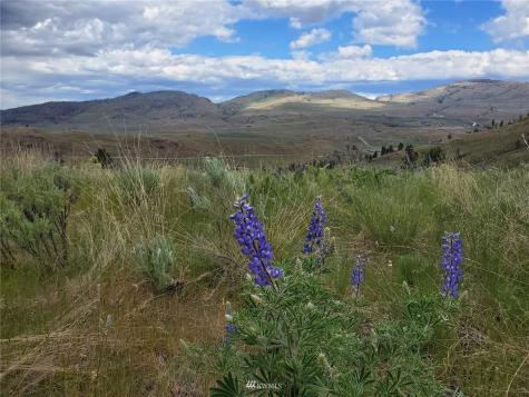 0 Tunk Creek Road Riverside WA 98849