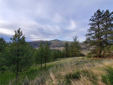0 Tunk Creek Road Riverside WA 98849