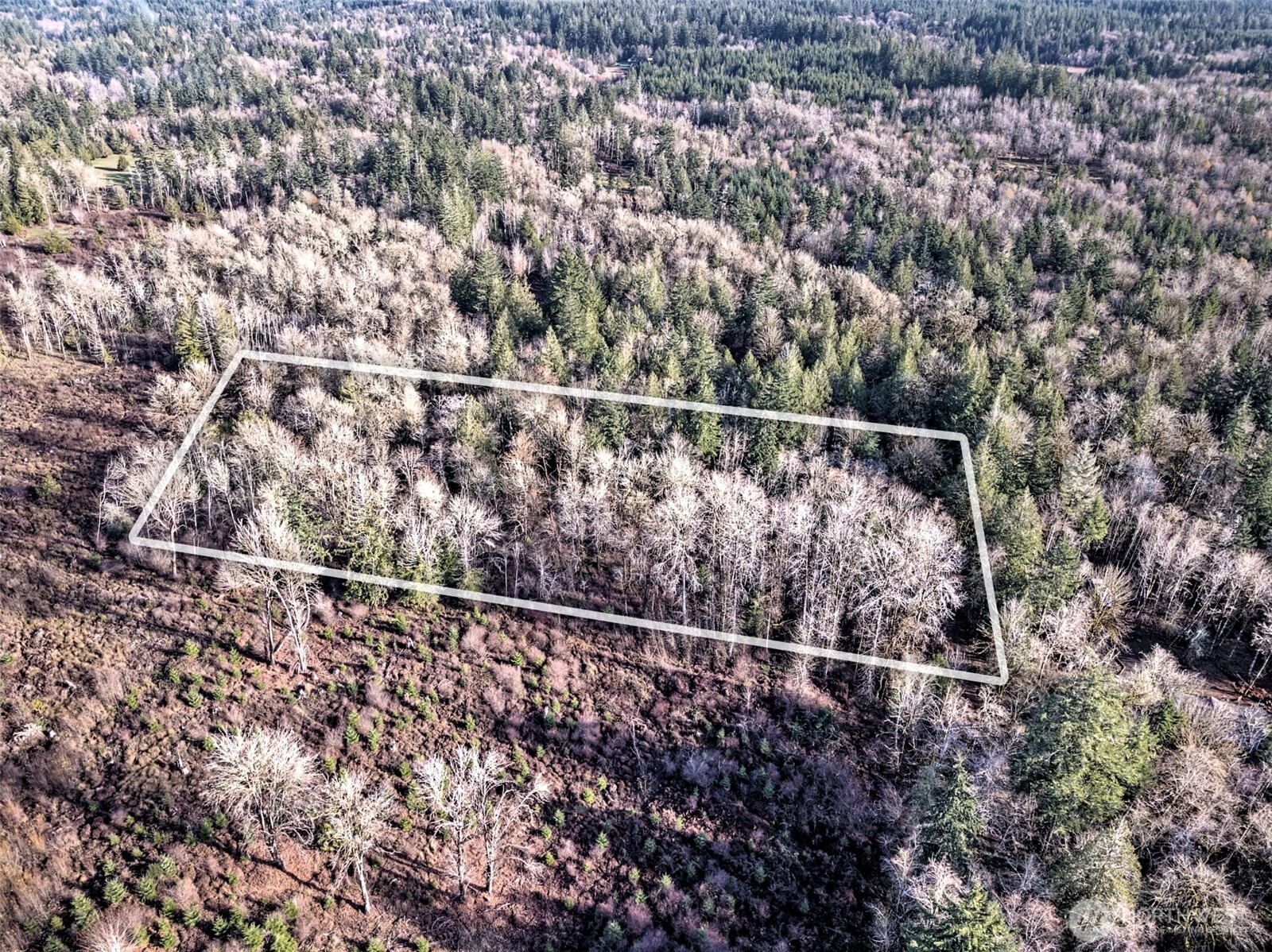 0 E Daniels Road Shelton WA 98584