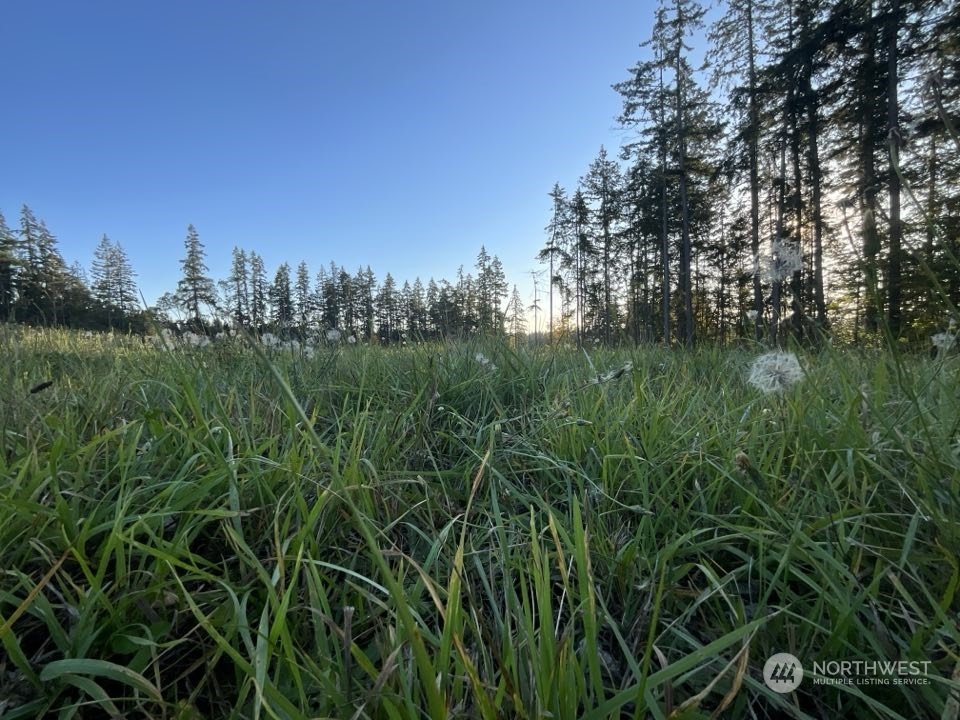 5777 Kramer Road Langley WA 98260