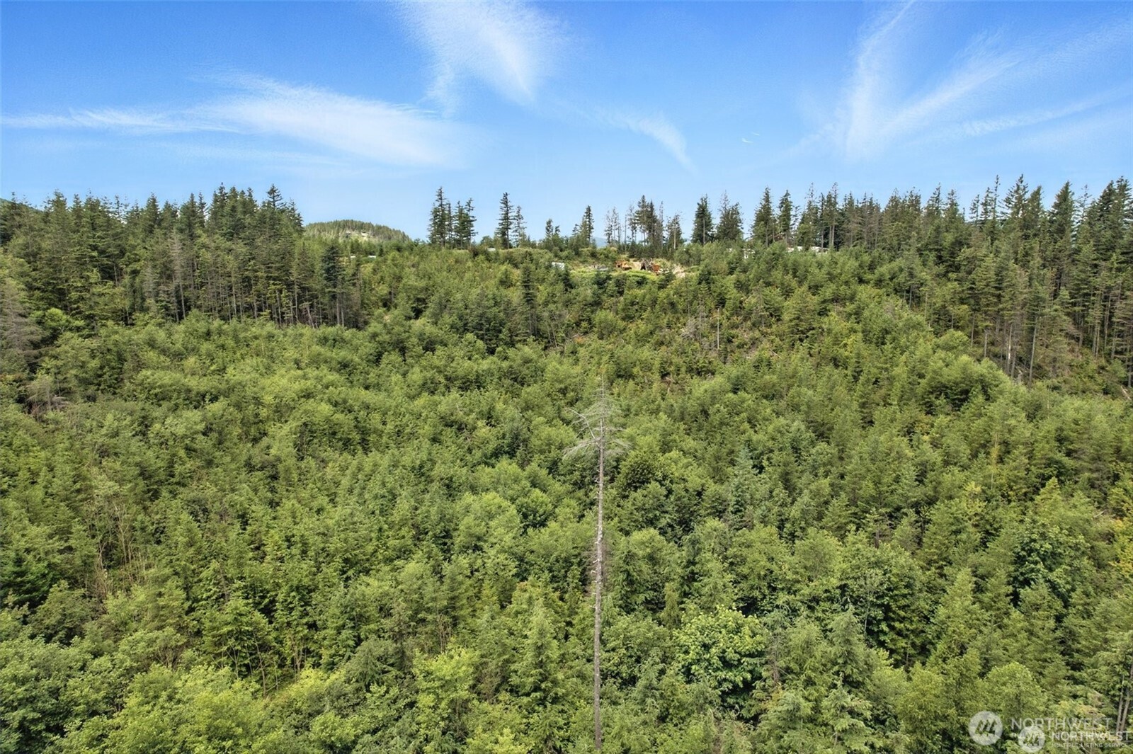 35022 SE 332nd Street Ravensdale WA 98051