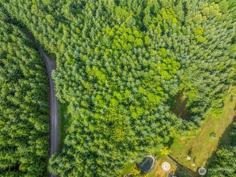 0 Grand Ridge Road Toutle WA 98649