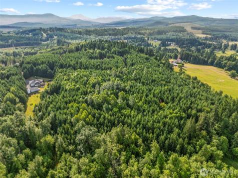 0 Grand Ridge Road Toutle WA 98649