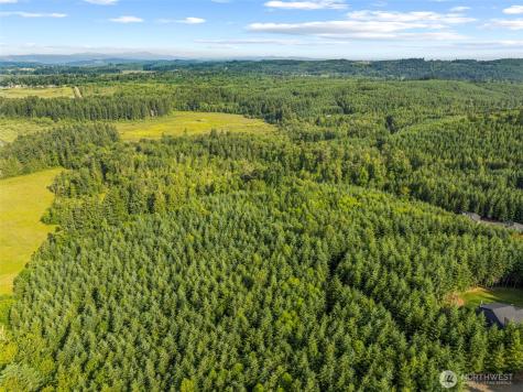 0 Grand Ridge Road Toutle WA 98649