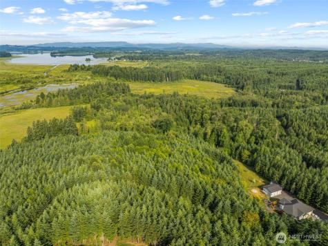 0 Grand Ridge Road Toutle WA 98649