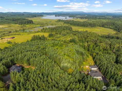 0 Grand Ridge Road Toutle WA 98649