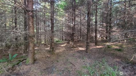 0 Grand Ridge Road Toutle WA 98649