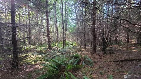 0 Grand Ridge Road Toutle WA 98649