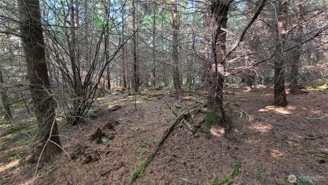 0 Grand Ridge Road Toutle WA 98649