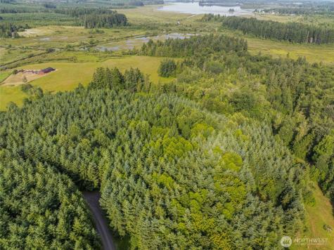 0 Grand Ridge Road Toutle WA 98649