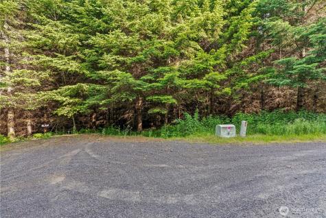 0 Grand Ridge Road Toutle WA 98649