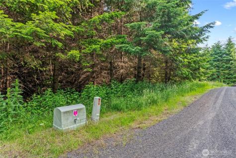 0 Grand Ridge Road Toutle WA 98649